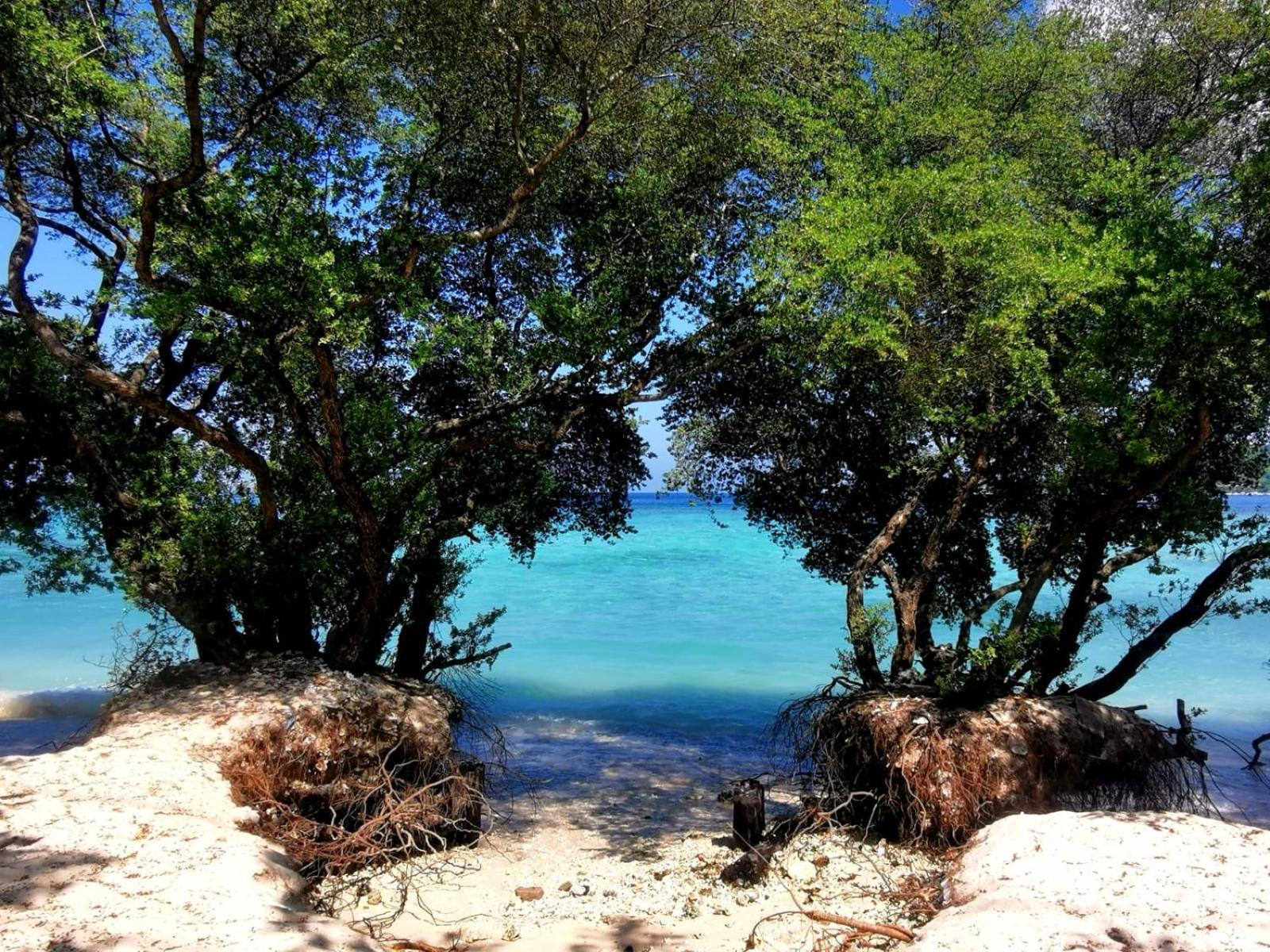 Vila Exotic House Gili Meno Exteriér fotografie