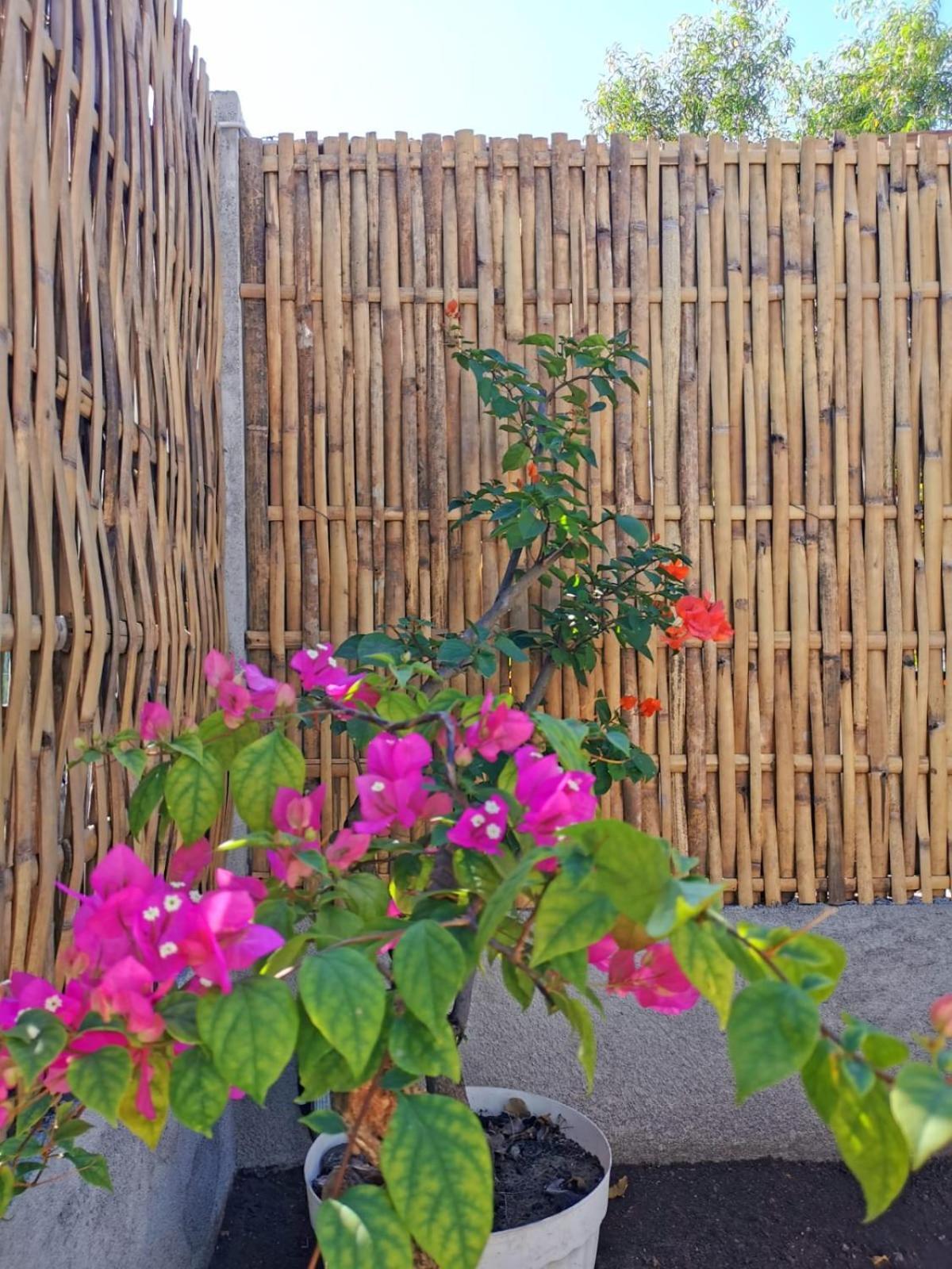 Vila Exotic House Gili Meno Exteriér fotografie
