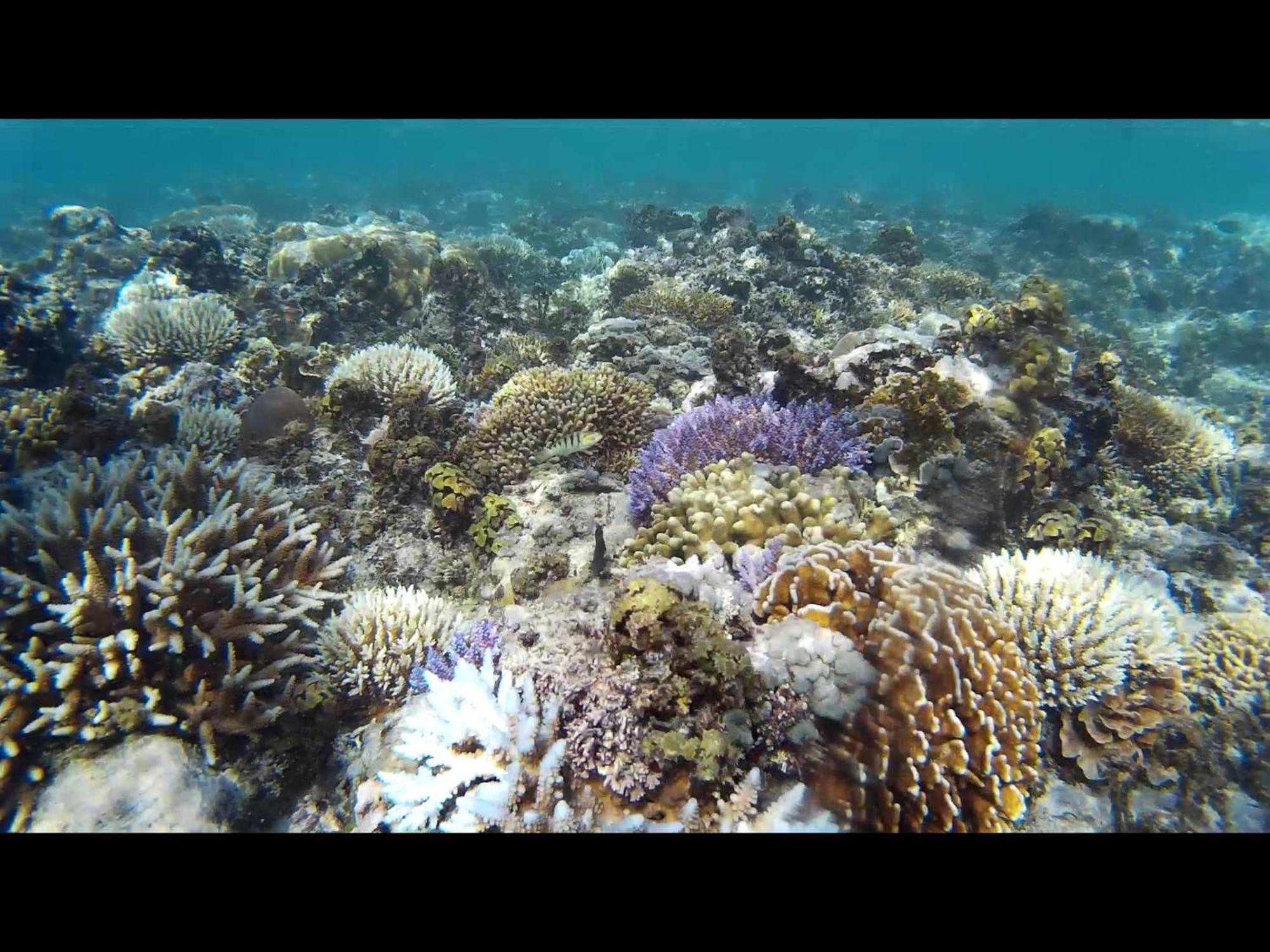 Vila Exotic House Gili Meno Exteriér fotografie