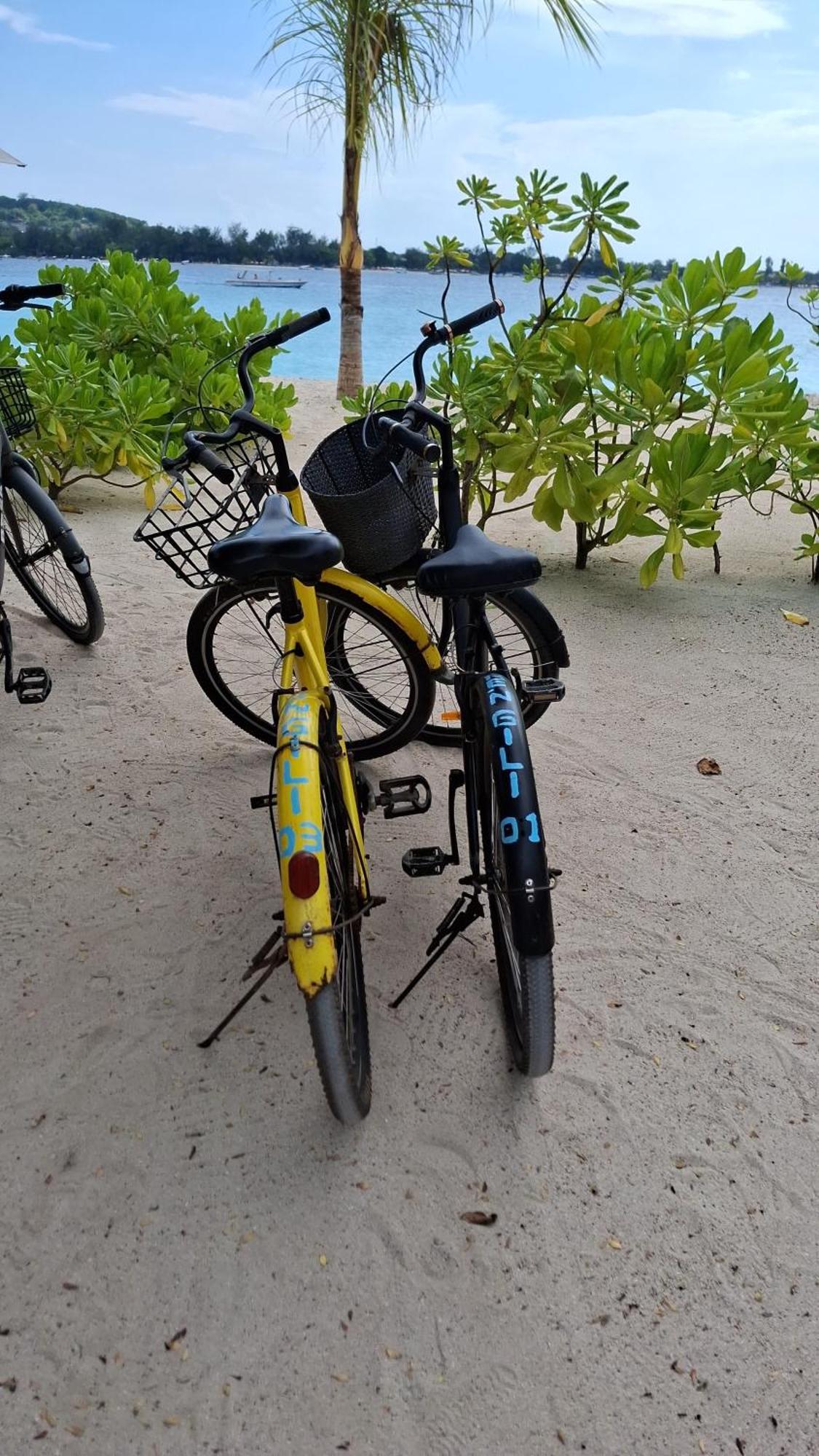 Vila Exotic House Gili Meno Pokoj fotografie