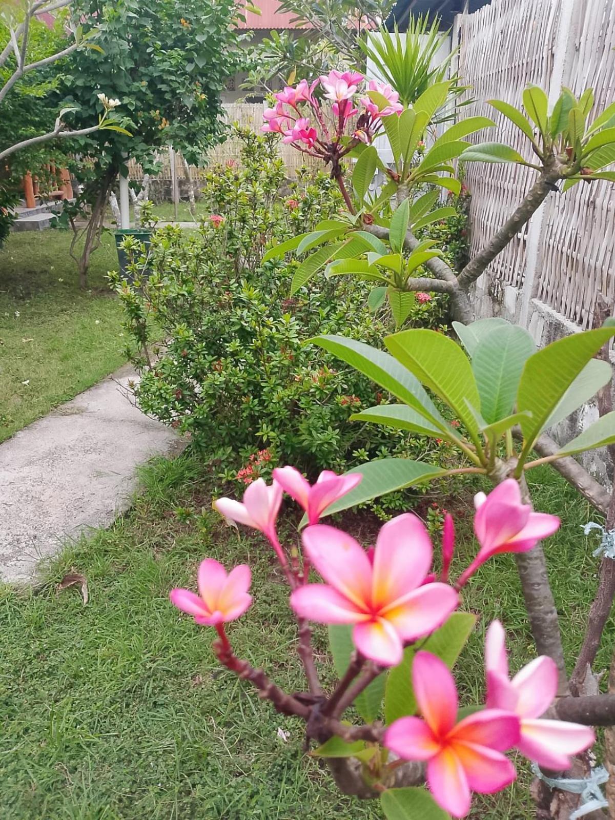 Vila Exotic House Gili Meno Pokoj fotografie
